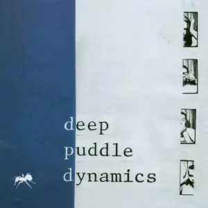 中古 deep puddle dynamics - the taste of Deep Puddle Dynamics – The Taste Of Rain Why Kneel – 2 x