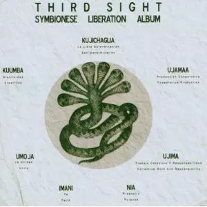 未開封Third Sight/Symbionese Liberation 2LP THIRD SIGHT商品一覧｜HIPHOP / 日本語RAP｜ディスクユニオン