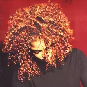 洋楽 janet Jackson/the velvet rope LP VELVET ROPE アナログ2LP/JANET JACKSON/ジャネット・ジャクソン