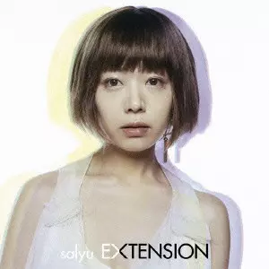 Salyu / サリュ / EXTENSION