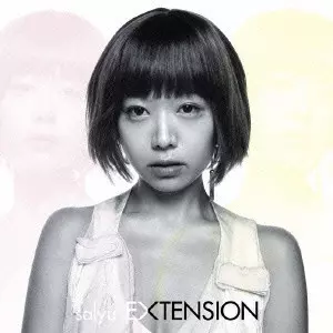 Salyu / サリュ / EXTENSION