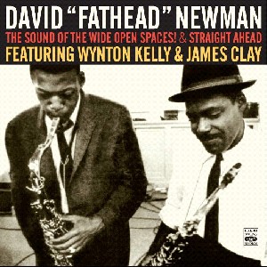 DAVID "FATHEAD" NEWMAN / デヴィッド・"ファットヘッド"・ニューマン / THE SOUND OF THE WIDE OPEN SPACES! & STRAIGHT AHEAD