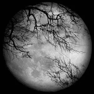 LUNA SEA/LUNA SEA/ルナシー/通常盤 / 期間限定特典:スペシャル