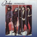 THE QUIREBOYS / クワイアボーイズ / A BIT OF WHAT YOU FANCY <REMASTER & BONUS TRACKS>