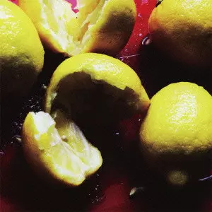 HOMOSAPIENS / Ｈｏｍｏｓａｐｉｅｎｓ / LEMONPOP