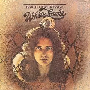 デヴィッド・カヴァデール 【帯付】David Coverdale(デイヴィッド