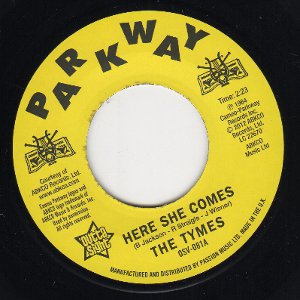 TYMES / タイムス / HERE SHE COMES + ANYMORE (7")