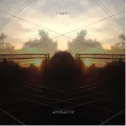 SYNKRO / Acceptance EP