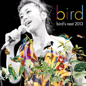 bird / BIRD'S NEST 2013 / bird’s nest 2013