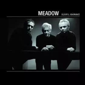 MEADOW / Blissful Ignorance