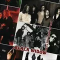 BLACK WIDOW / ブラック・ウィドウ / SEE'S THE LIGHT OF DAY<2CD>