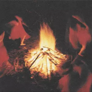 plenty (J-INDIES) / THIS (初回限定盤)