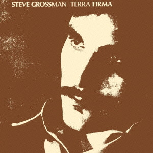 STEVE GROSSMAN / スティーヴ・グロスマン / TERRA FIRMA / テラ・ファーマ