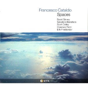 FRANCESCO CATALDO / Spaces