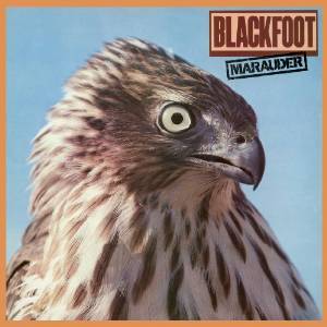 BLACKFOOT / ブラックフット / MARAUDER