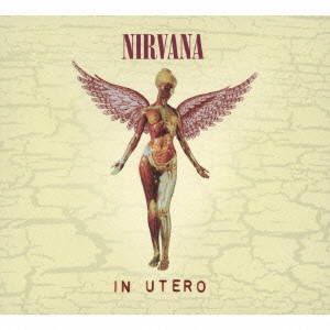 3CD＋DVD☆ NIRVANA「IN UTERO」ニルヴァーナ イン・ユーテロ