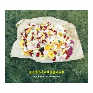 MAKOTO KAWAMOTO / 川本真琴 / gobbledygook