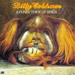ビリー・コブハム / A FUNKY THIDE OF SINGS