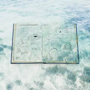 Rhapsody in beauty/THE NOVEMBERS/ザ・ノーベンバーズ｜日本のロック