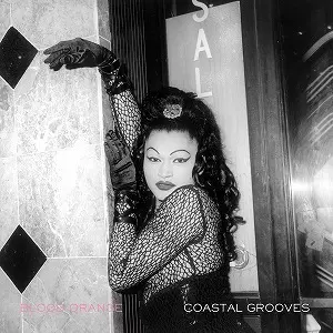 BLOOD ORANGE / ブラッド・オレンジ / COASTAL GROOVES (LP/180G) 