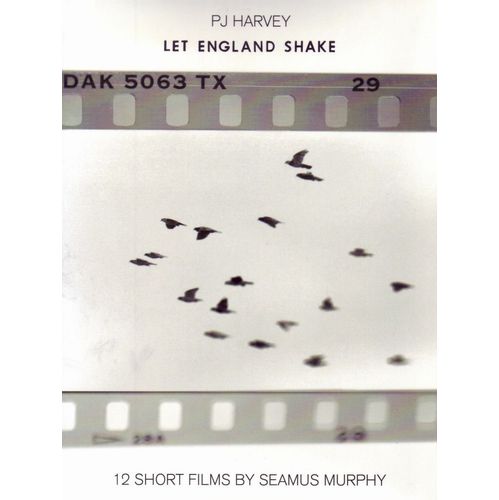 PJ HARVEY / PJ ハーヴェイ / LET ENGLAND SHAKE: 12 SHORT FILMS BY SEAMUS MURPHY (DVD)