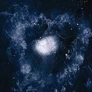 SWANS / スワンズ / MY FATHER WILL GUIDE ME UP A ROPE TO THE SKY