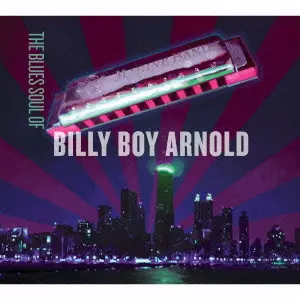BILLY BOY ARNOLD / ビリー・ボーイ・アーノルド / THE BLUES SOUL OF / ブルース・ソウル・オブ