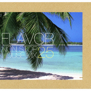 OUTERSPACE / FLAVOR NON STOP HOUSE MIX 25