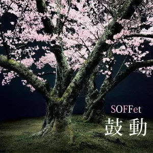SOFFet / 鼓動