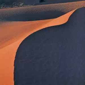 SAM MORRISON / サム・モリソン / DUNE / 砂丘
