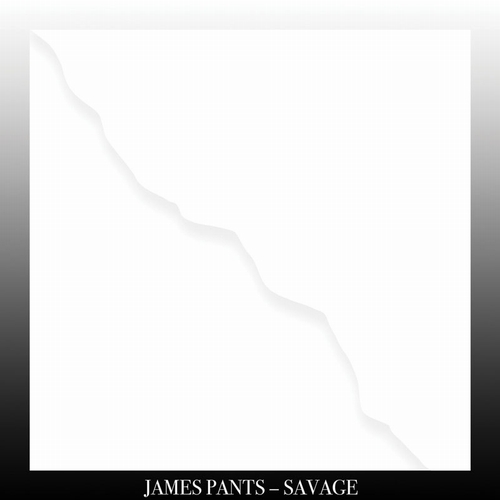 JAMES PANTS / SAVAGE "LP"
