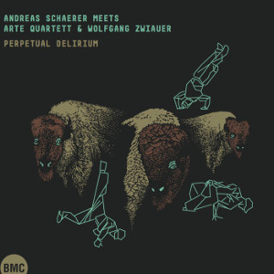 ANDREAS SCHAERER / アンドレアス・シェーラー / Perpetual Delirium (CD?+?DVD)