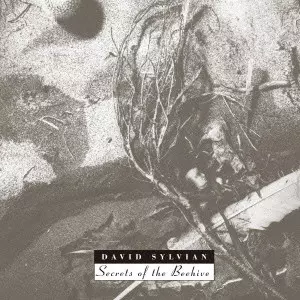 SECRETS OF THE BEEHIVE / シークレッツ・オブ・ザ・ビーハイヴ/DAVID