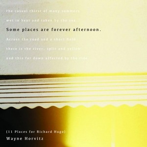 WAYNE HORVITZ / ウェイン・ホーヴィッツ / Some Places Are Forever Afternoon