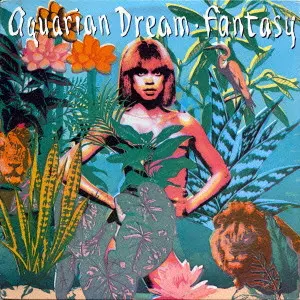 AQUARIAN DREAM / アクエリアン・ドリーム商品一覧｜JAZZ｜ディスク