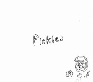 l'avion / ラヴィオン / Pickles  / ピクルス