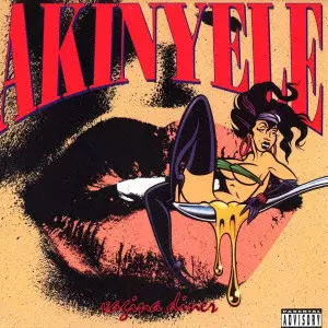 AKINYELE VAGINA DINERレコードオリジナル盤 AKINYELE VAGINA DINERレコードオリジナル盤