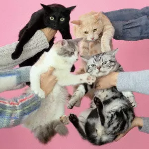 きのこ帝国商品一覧｜JAPANESE ROCK・POPS / INDIES｜ディスク