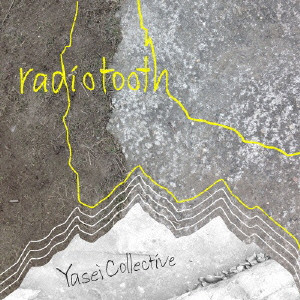 YASEI COLLECTIVE / ヤセイ・コレクティブ / radiotooth