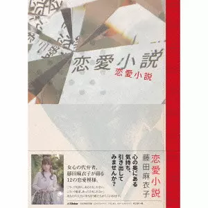 MAIKO FUJITA / 藤田麻衣子商品一覧｜ディスクユニオン