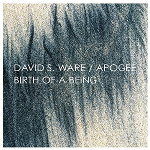 DAVID S. WARE / Apogee / Birth of a Being