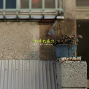 rei harakami / レイ・ハラカミ / わすれもの