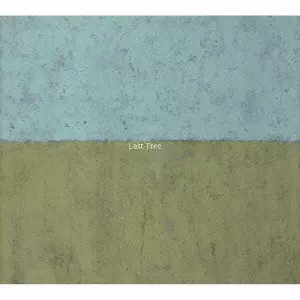 TAKUMI SEINO / 清野拓巳 / LAST TREE / Last Tree