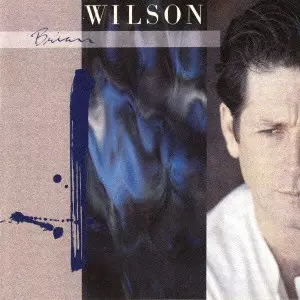 Brian Wilson　ブライアン・ウィルソン　 レコード BRIAN WILSON / ブライアン・ウィルソン/BRIAN WILSON