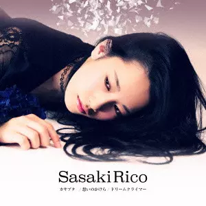 RIKO SASAKI / 佐々木李子商品一覧｜JAZZ｜ディスクユニオン