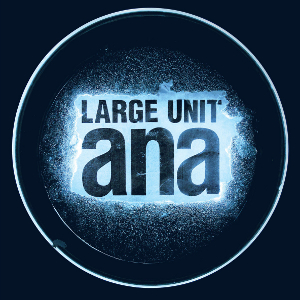 LARGE UNIT / ラージ・ユニット / Ana