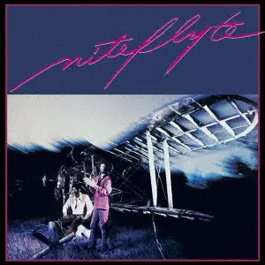 Niteflyte / Niteflyte LPレコード シュリンク付 美品 - メルカリ