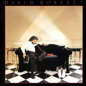 【日本盤CD】デヴィッド・ロバーツ　ミッシング・イヤーズ 日本盤CD】デヴィッド・ロバーツ ミッシング・イヤーズ DAVID ROBERTS