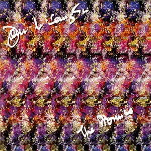 JOHN MCLAUGHLIN / ジョン・マクラフリン / THE PROMISE / ザ・プロミス