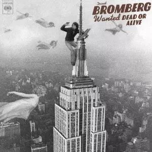 David Bromberg Discography: Vinyl, CDs, & More | Discogs